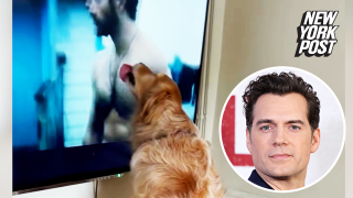 Superman’s best friend: adorable video shows pooch obsessed with Henry Cavill