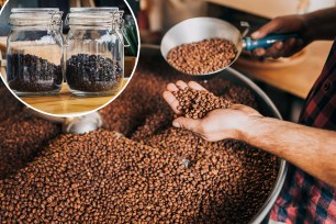 Man's hands holding freshly roasted coffee beans over a modern coffee roasting machine