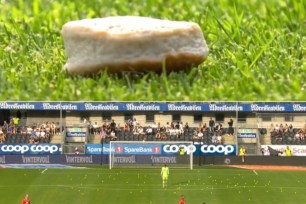 fishcakes on soccer pitch