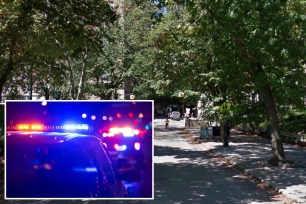 A photo of Central Park and an inset of a cop car in Central Park; stock photos