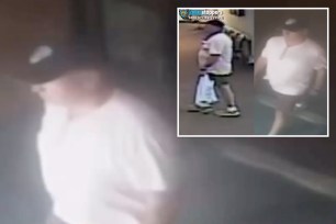 Unidentified man with heavy build, light complexion, wearing a black baseball hat, light pink T-shirt, khaki shorts and carrying a white plastic bag, suspected in daylight assault of elderly woman in Queens