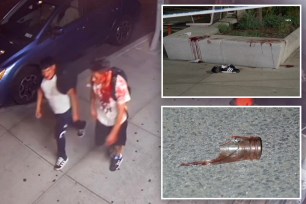 The brothers, 25 and 27, were standing on the corner of Emerson Place and Myrtle Avenue – steps from Pratt Institute – around 11:30 p.m., when two other men suddenly attacked them, according to cops and police sources. 