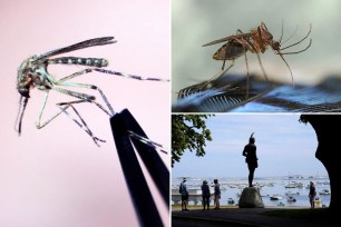 A New Hampshire resident who tested positive for the mosquito-borne infection eastern equine encephalitis virus has died, health authorities in the state said.