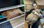 38-pound rescue cat Crumbs gets stuck in shoe rack while trying to escape from fat camp