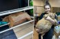 38-pound rescue cat Crumbs gets stuck in shoe rack while trying to escape from fat camp