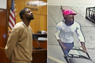 stroller pushing NYC madman sentenced 