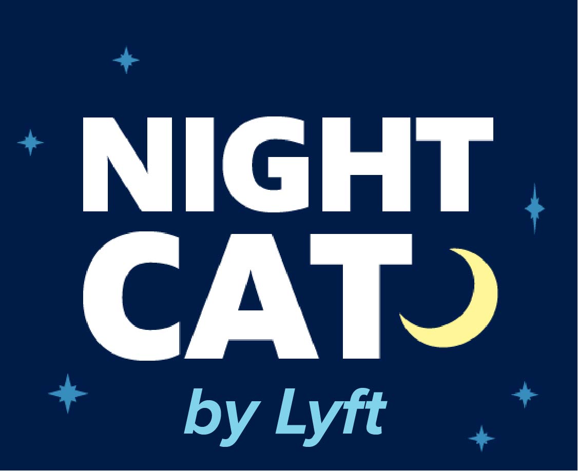 Night Cat