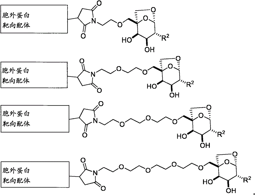 Figure BPA0000324887470000343