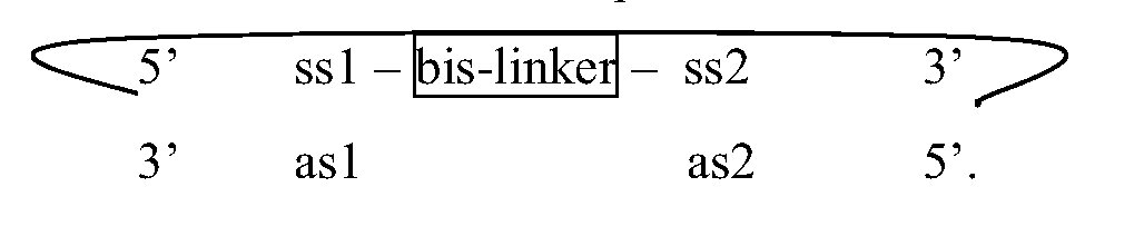 Figure imgf000055_0001