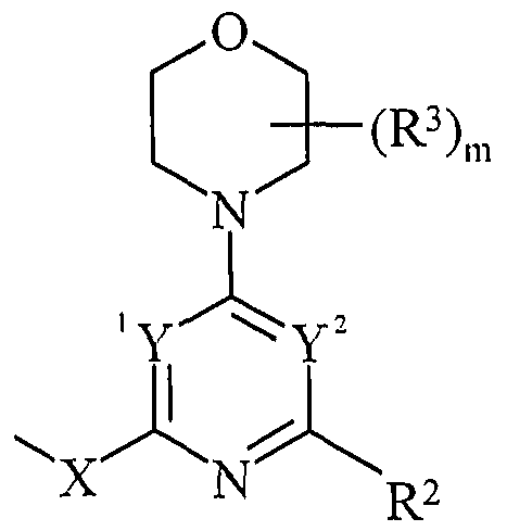 Figure imgf000028_0007