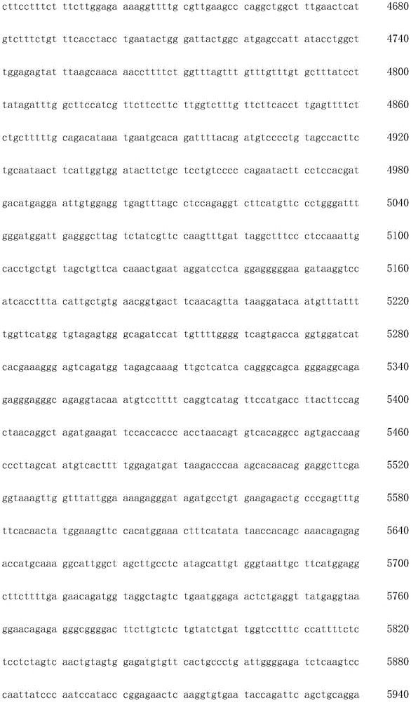 Figure IDA0003936212790000051