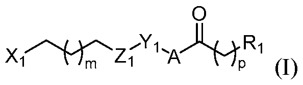 Figure imgf000004_0001