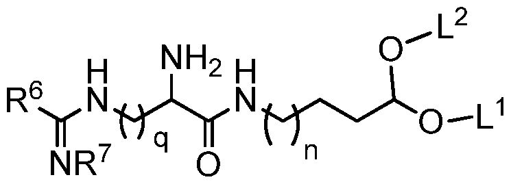 Figure imgf000241_0001