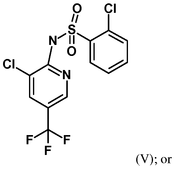Figure imgf000003_0001