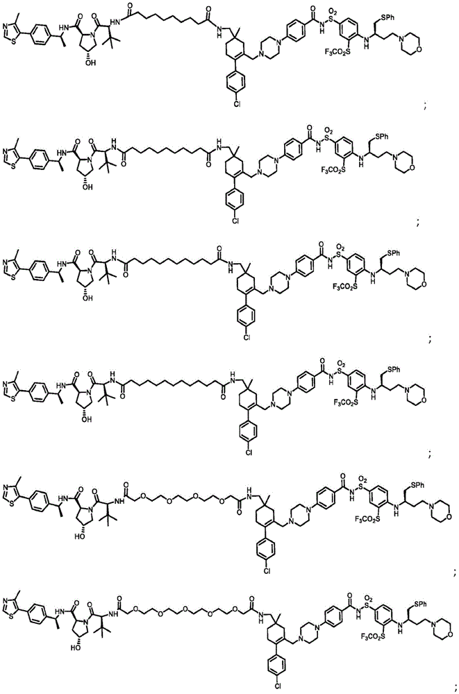 Figure BDA0003293294510000281