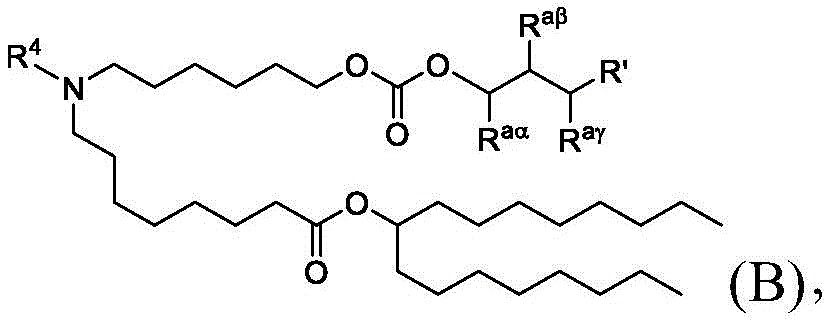 Figure BDA0003652566710000031