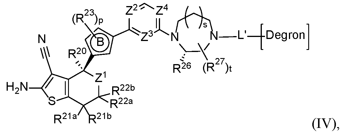 Figure imgf000020_0002