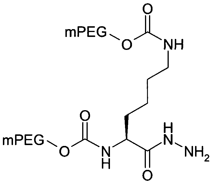 Figure imgf000032_0004