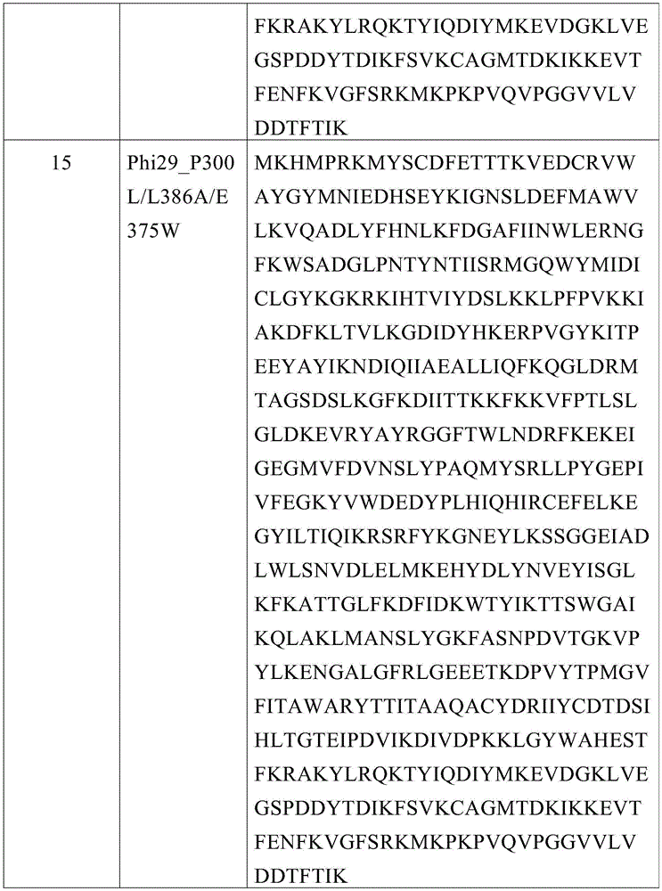 Figure BDA0003882873210000281
