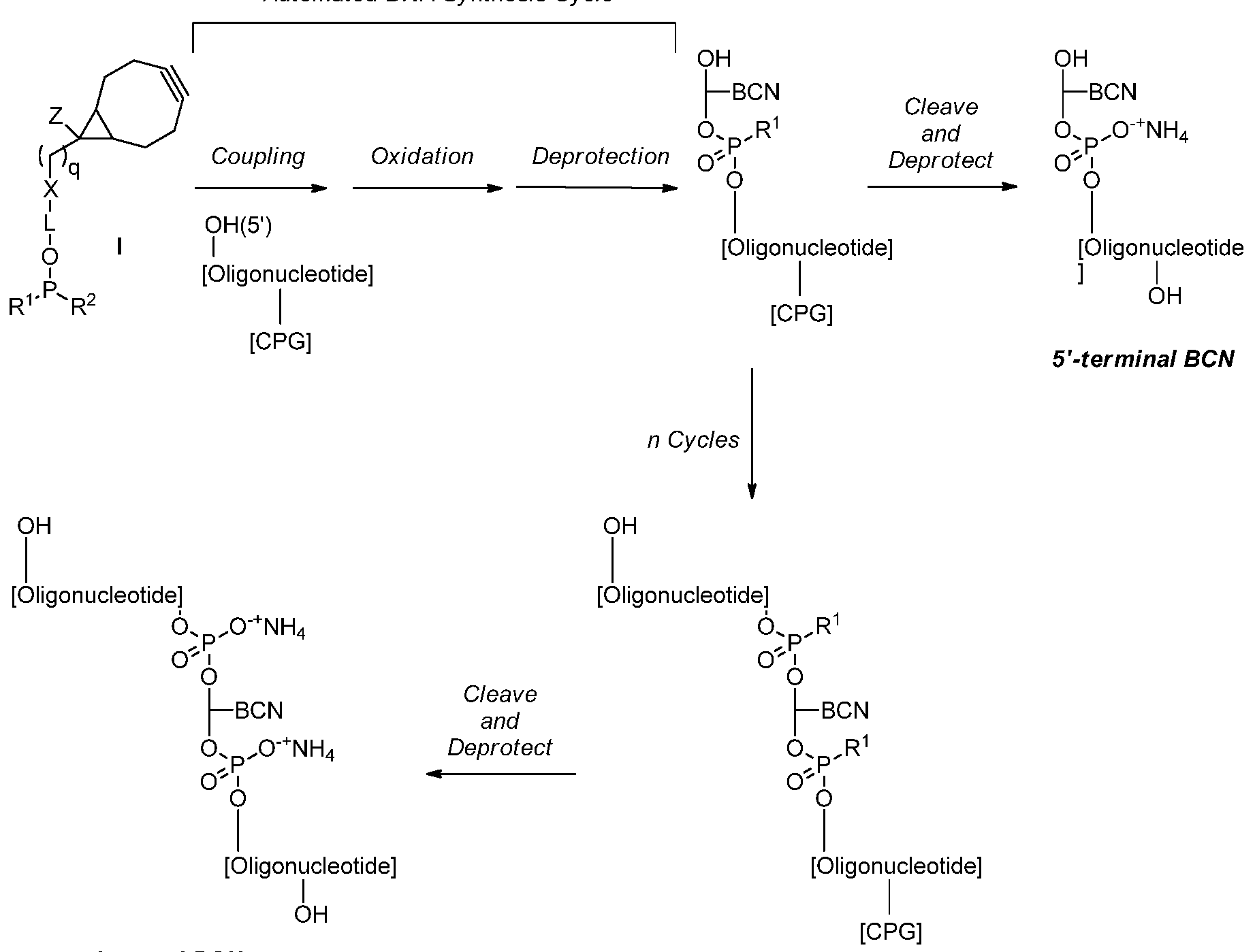 Figure imgf000032_0001