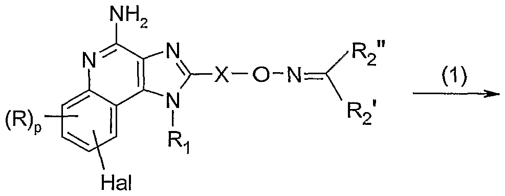 Figure imgf000086_0001