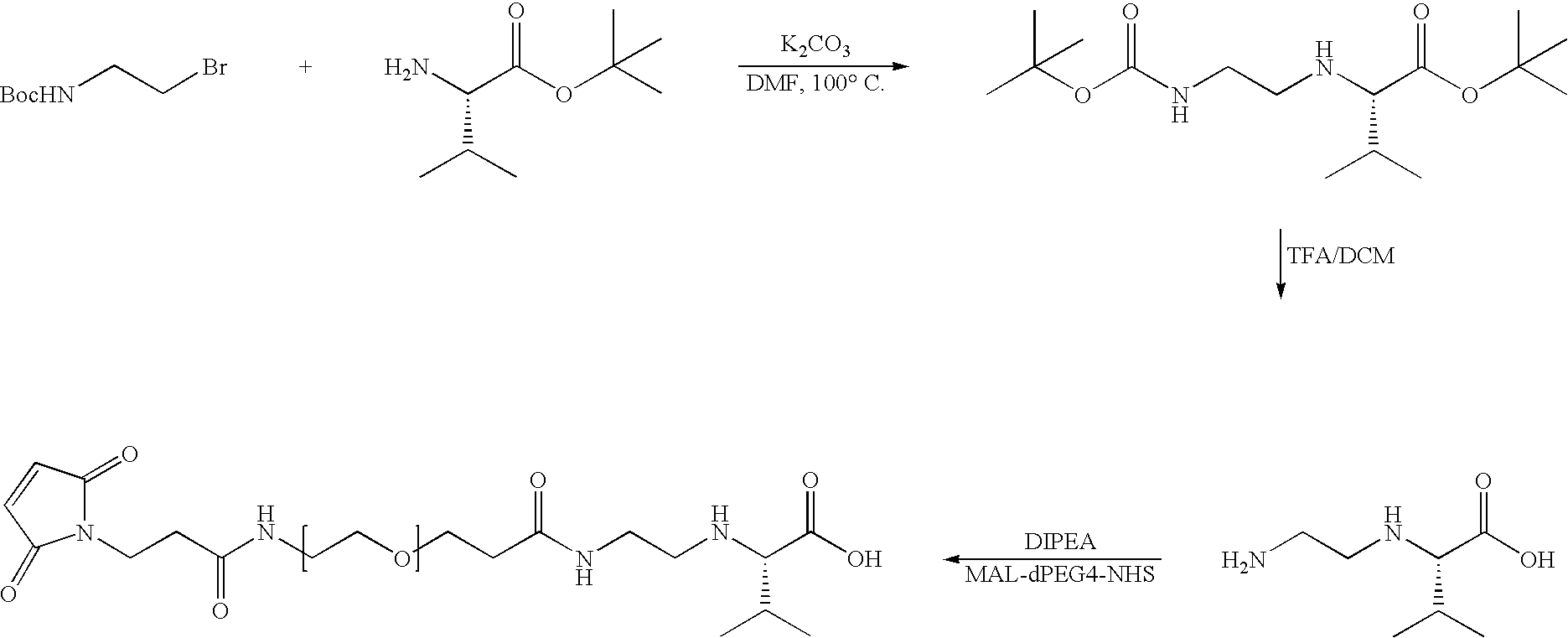 Figure US20080279868A1-20081113-C00101