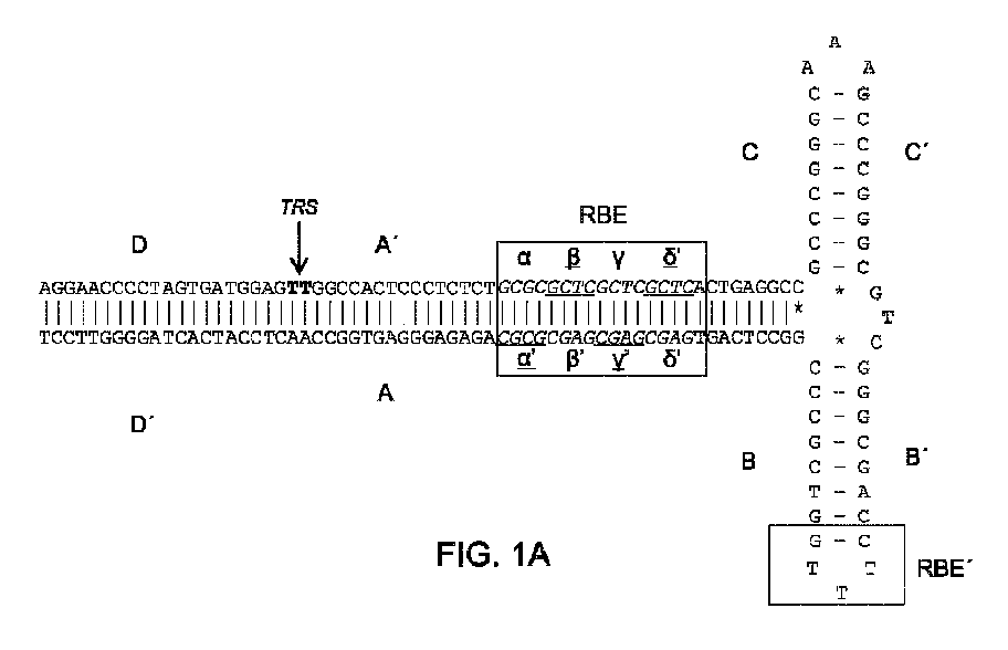 Figure 2023542132000001