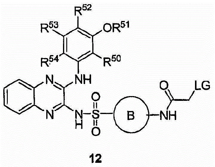 Figure BDA00003658296200133