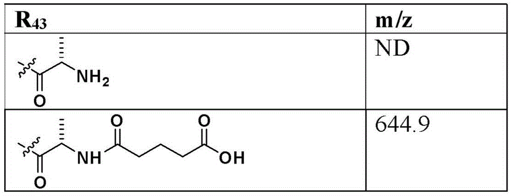 Figure BDA0003135424430001402