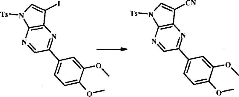 Figure BPA00001207418600871