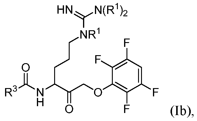 Figure imgf000005_0001