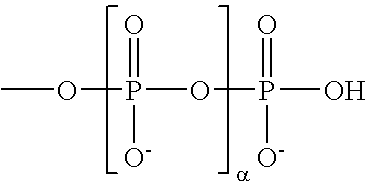 Figure US20050239089A1-20051027-C00004