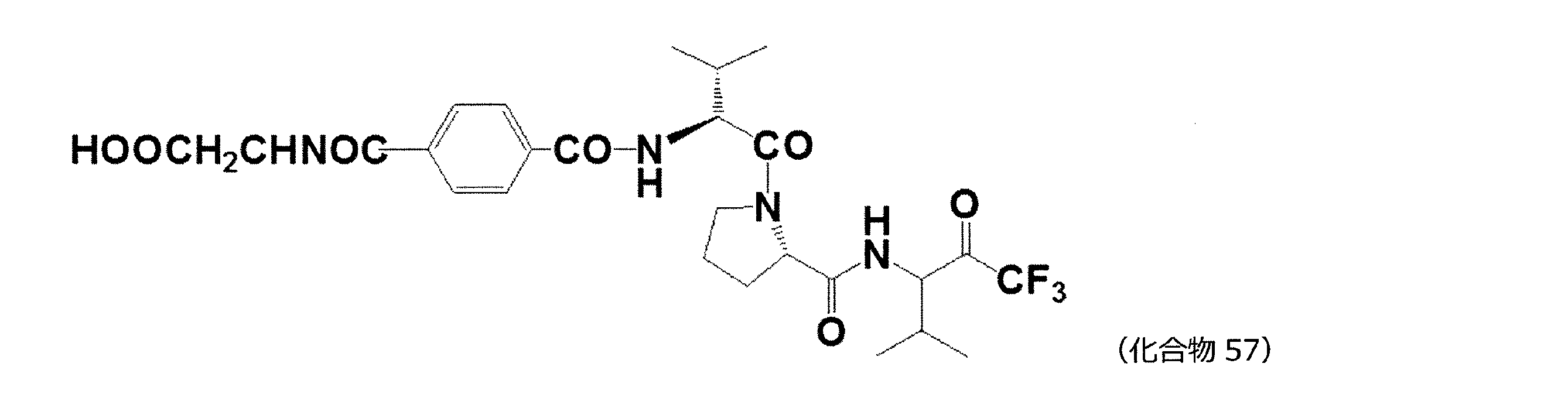 Figure 0007102658000030