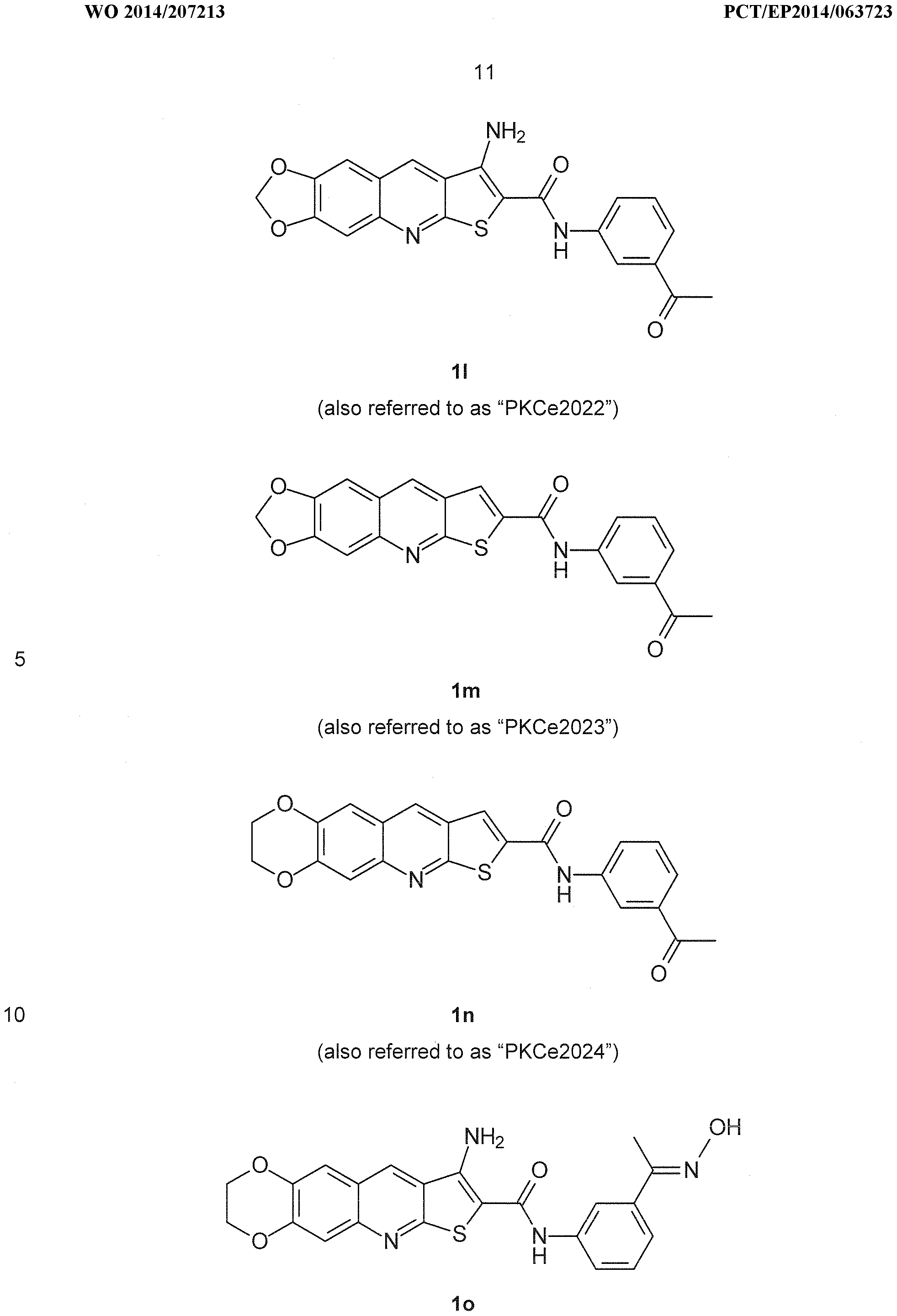 Figure imgf000012_0001