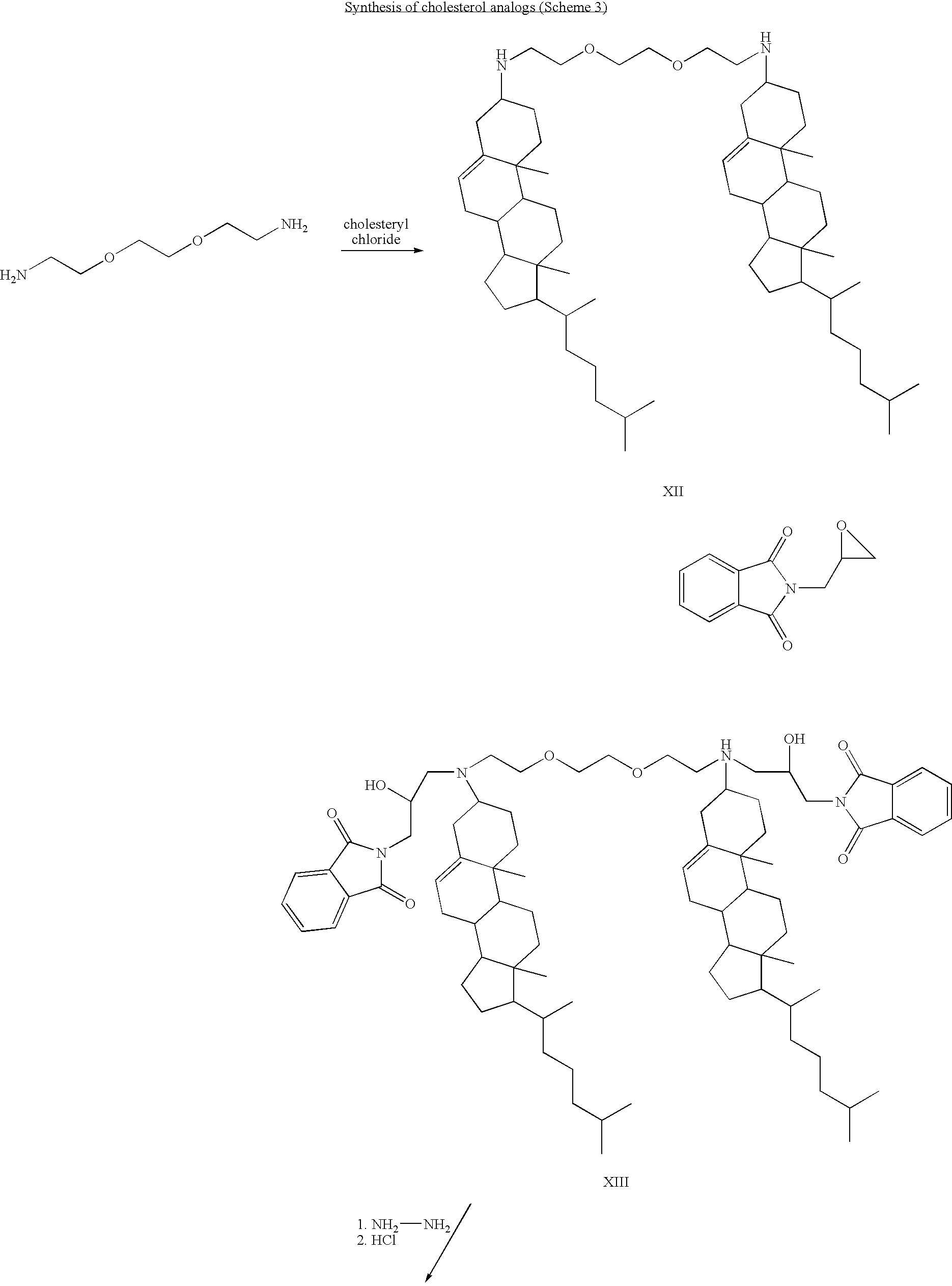 Figure US20100159593A1-20100624-C00053