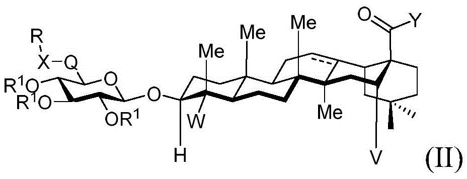 Figure GDA0003437676220000051