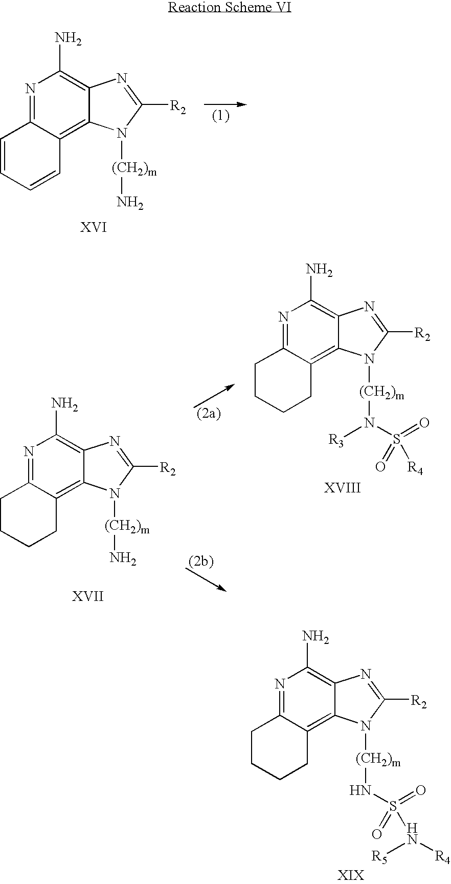 Figure US06924293-20050802-C00008