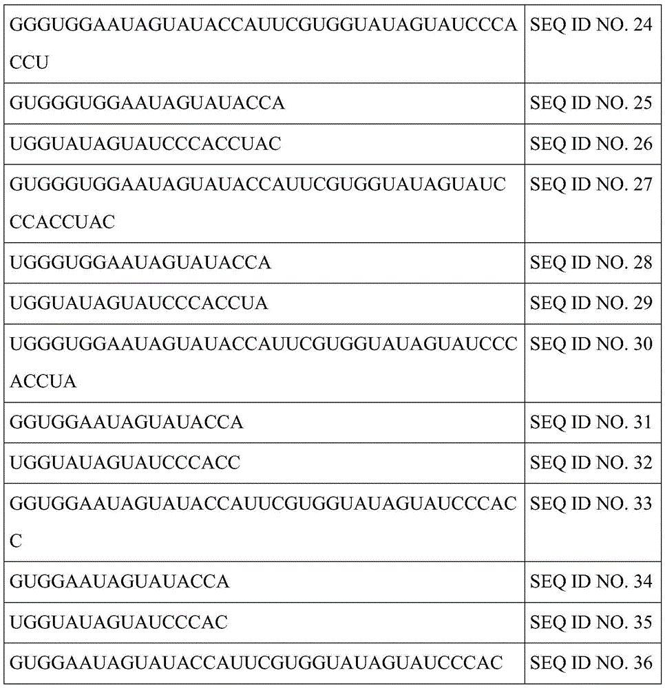 Figure BDA0003264319780000631