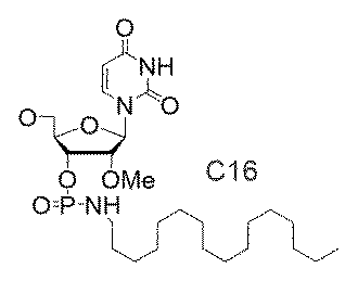 Figure 2025516680000191