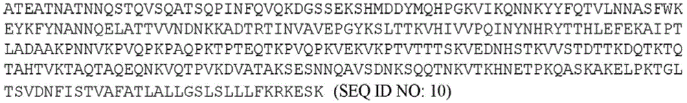 Figure BDA0002292915940000481