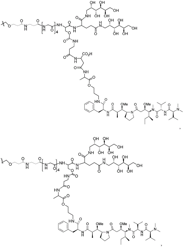 Figure BDA0003135424430001951