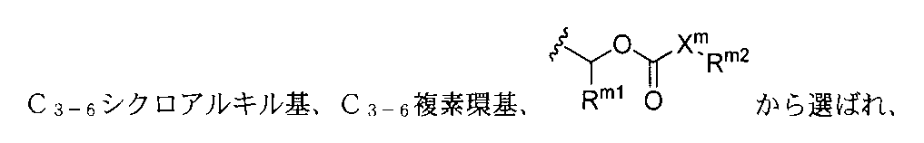 Figure 2022533147000259