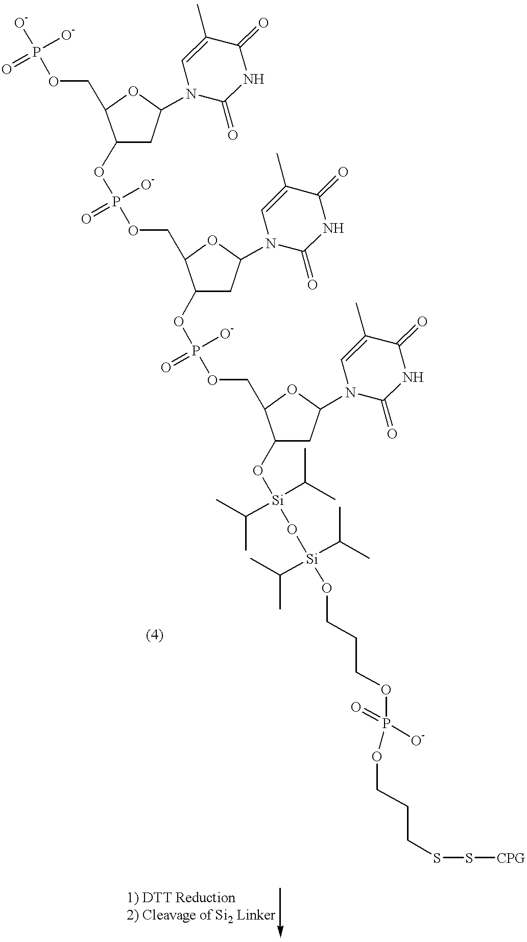 Figure US06472522-20021029-C00018