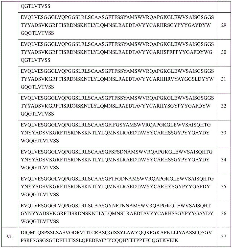 Figure BDA0004032492900000341