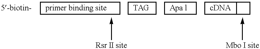Figure US06352828-20020305-C00001