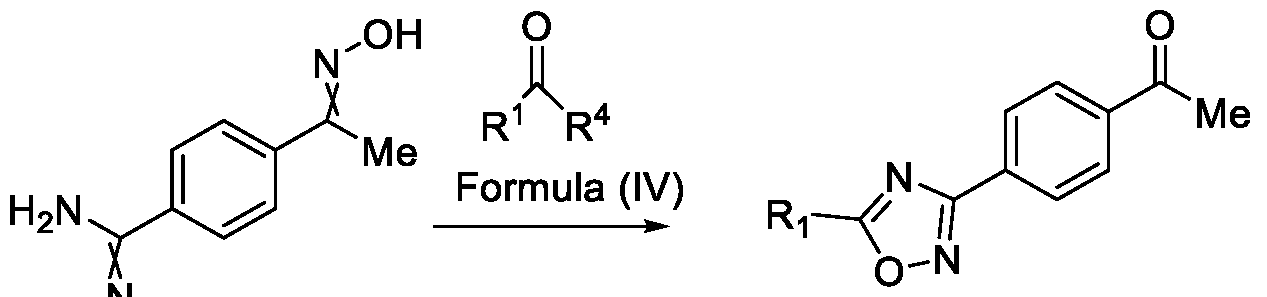 Figure imgf000005_0001