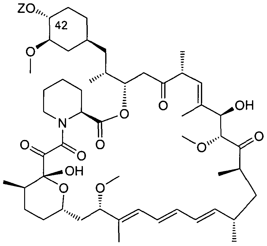 Figure imgf000019_0001