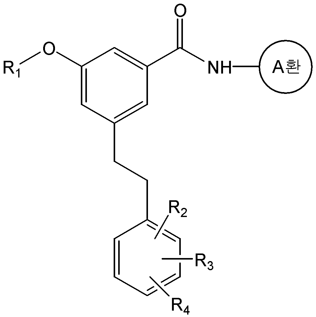 Figure 112010060742015-pat00025