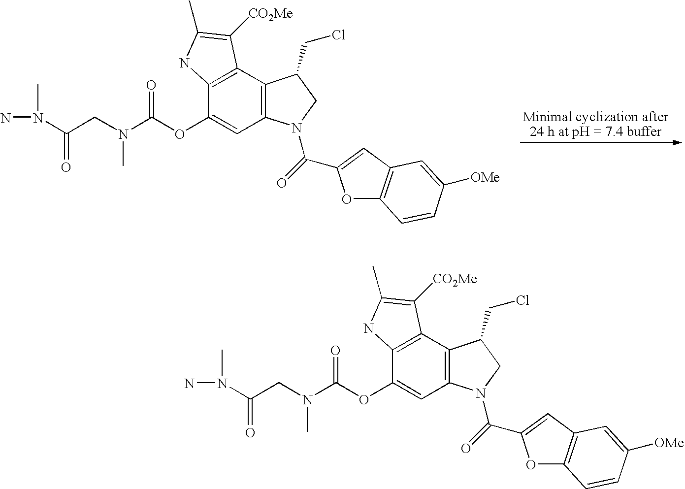 Figure US20080279868A1-20081113-C00116