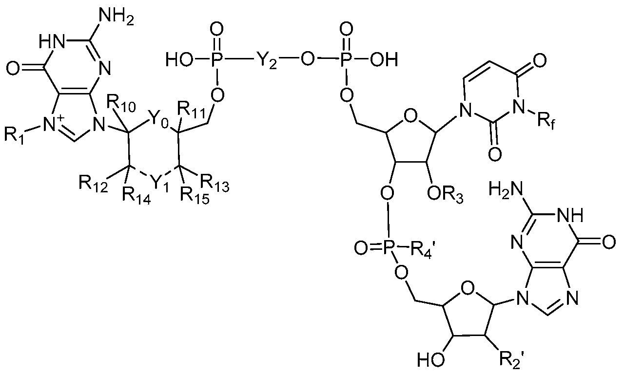 Figure imgf000029_0001